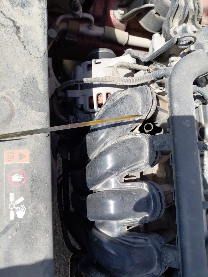 كيا بيجاس LX FWD 2023 image