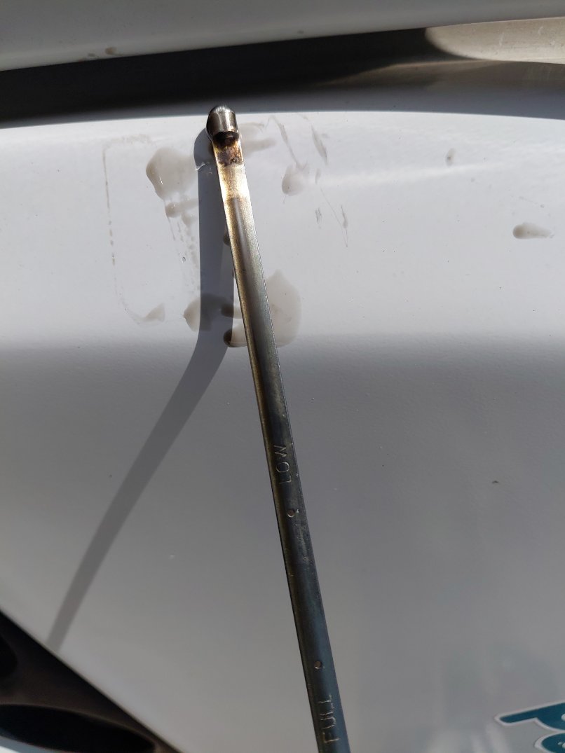 Ashok Leyland Falcon  2020 image