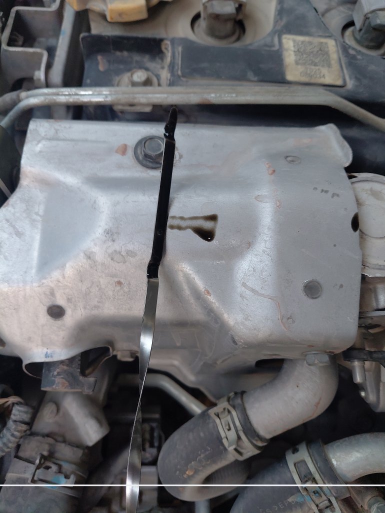 نيسان NV350 Urvan  2021 image