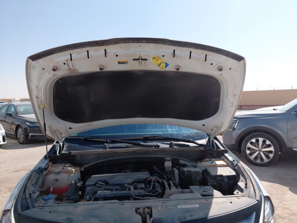 KIA Sportage NQ5E LX 4WD 2023 image