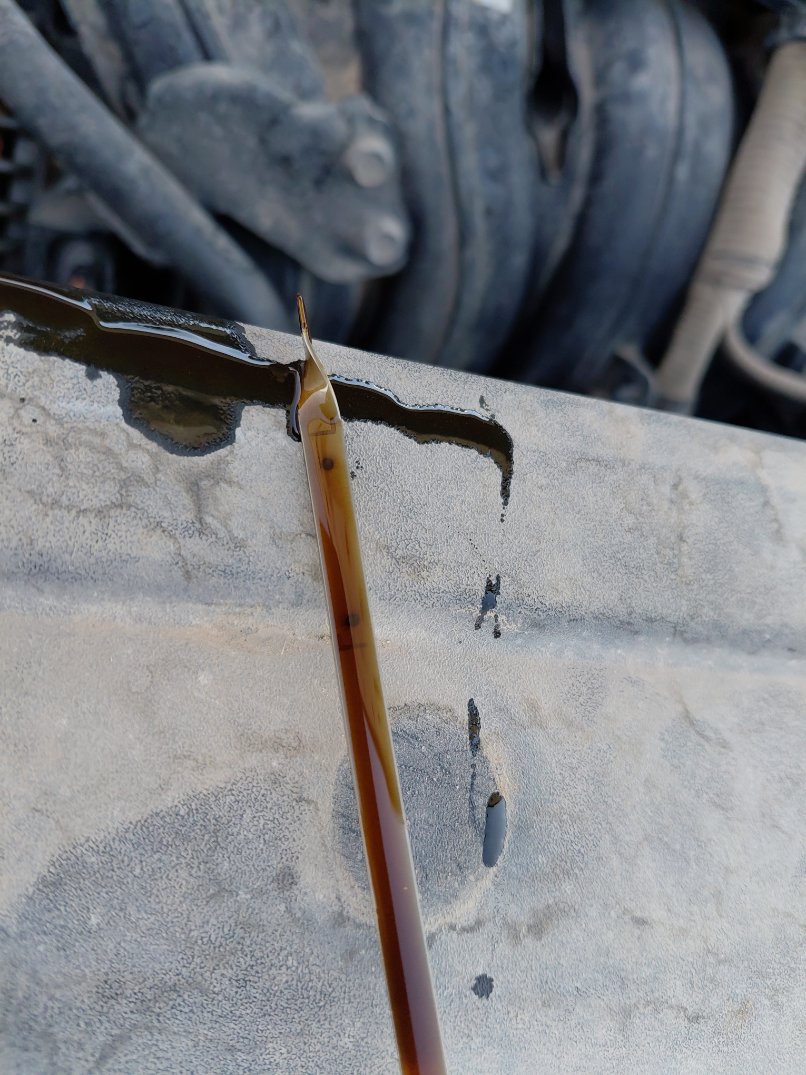 KIA Sportage NQ5E LX 4WD 2023 image