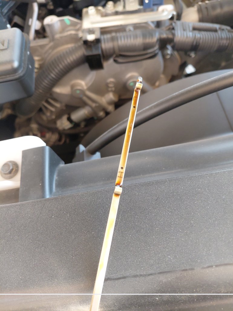 نيسان إكستيرا  2024 image