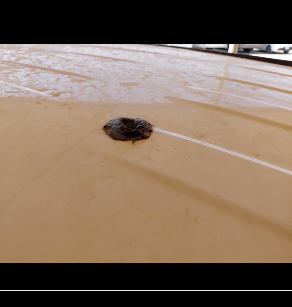 نيسان إكستيرا  2024 image