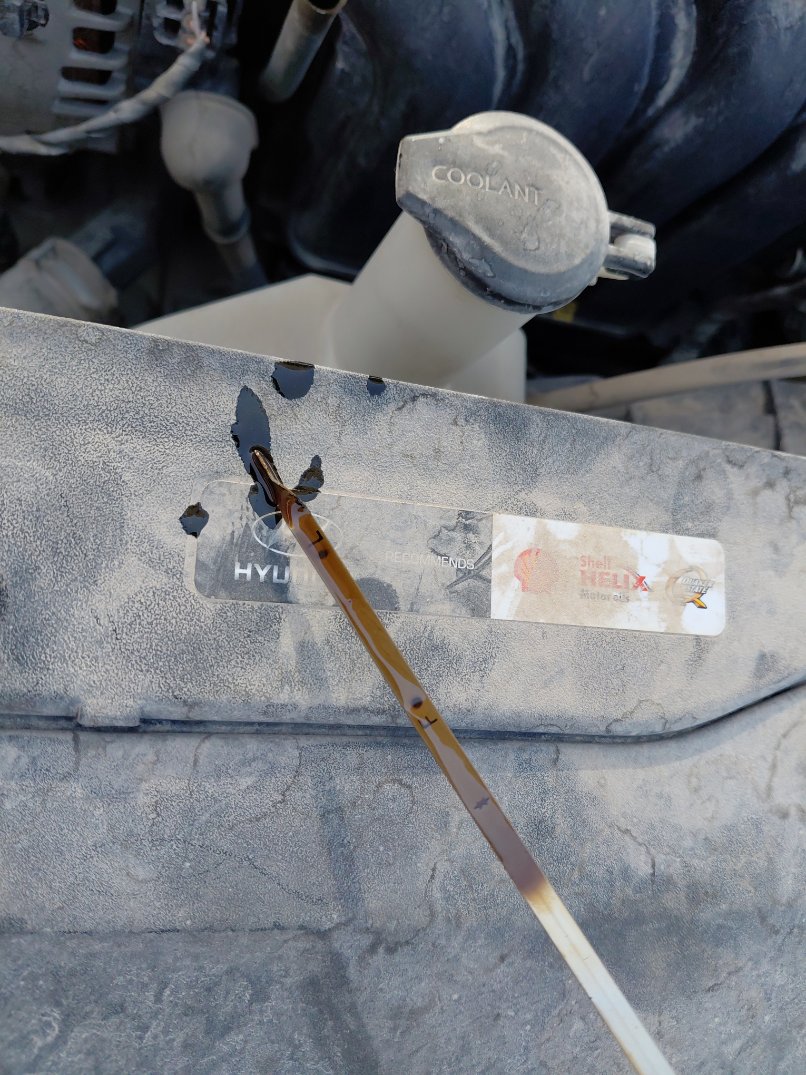 Hyundai Elantra  2021 image