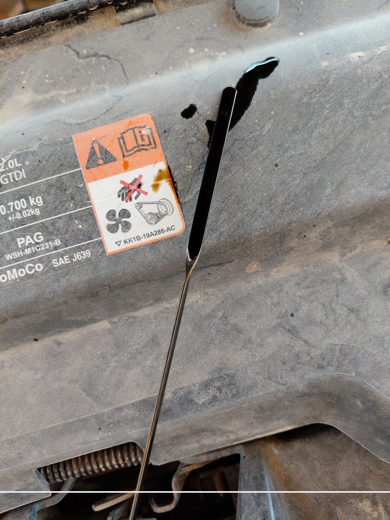 Ford Taurus  2020 image