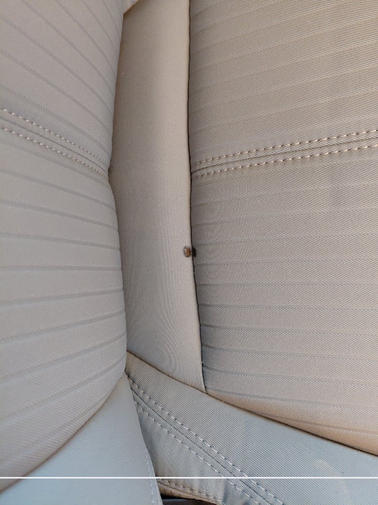 Ford Taurus  2020 image