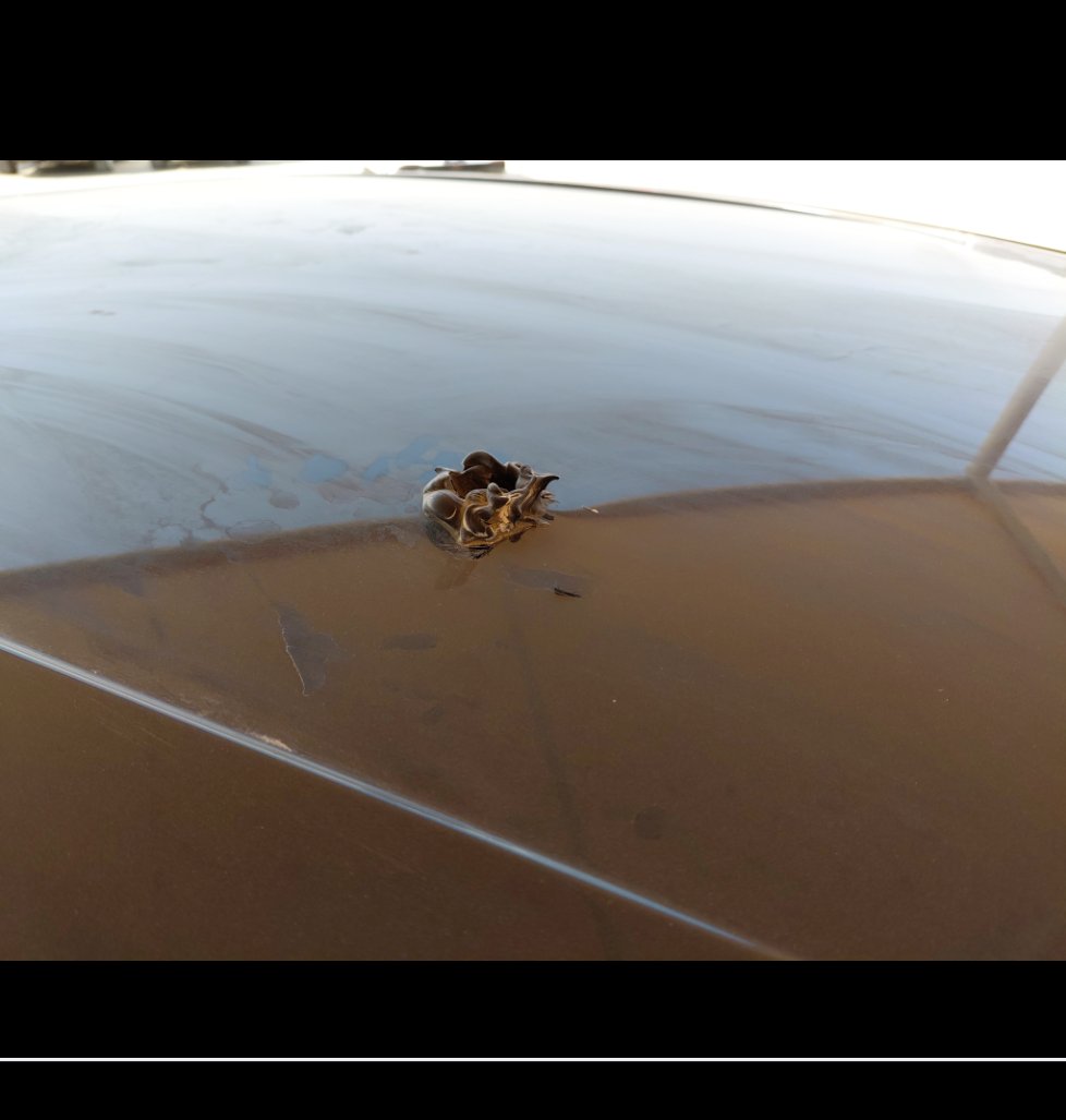 Ford Taurus  2020 image