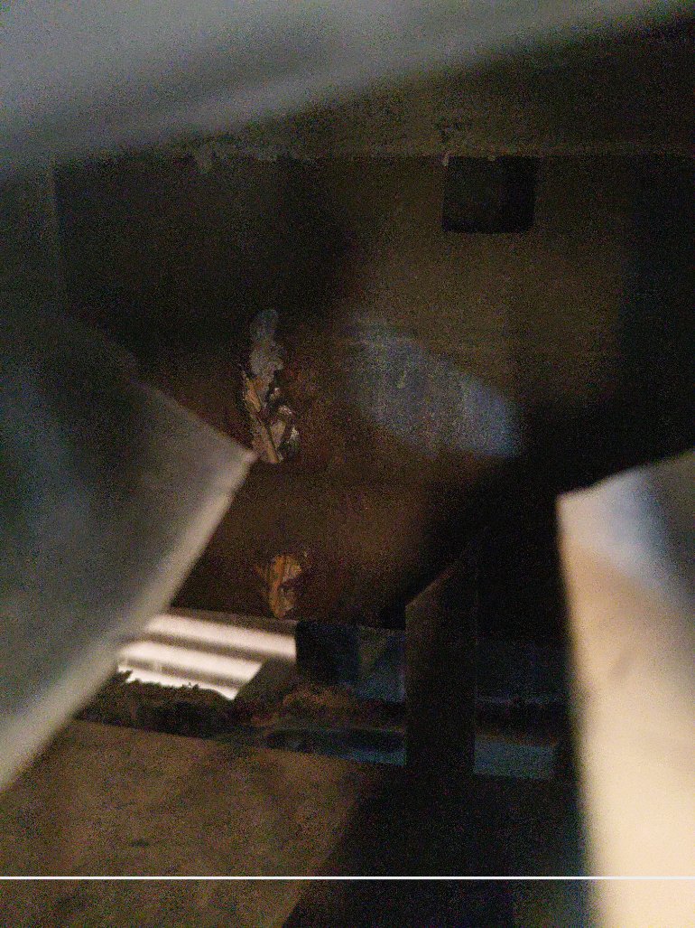 Ford Taurus  2020 image