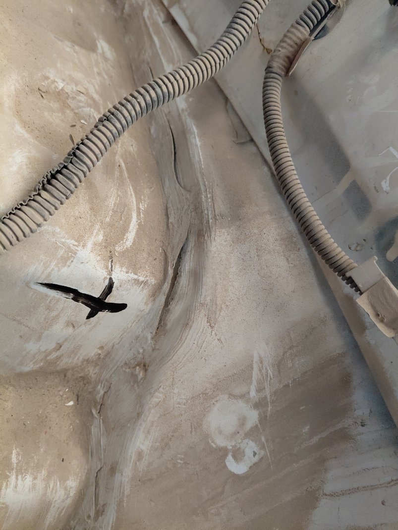 تويوتا كورولا  2013 image