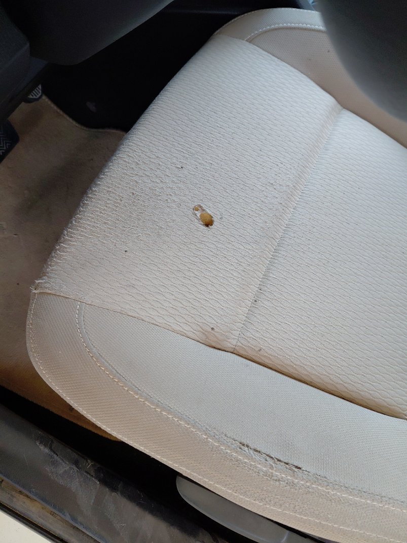 Toyota Corolla  2014 image