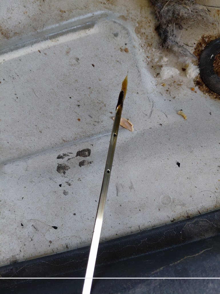 تويوتا هايس باص  2013 image