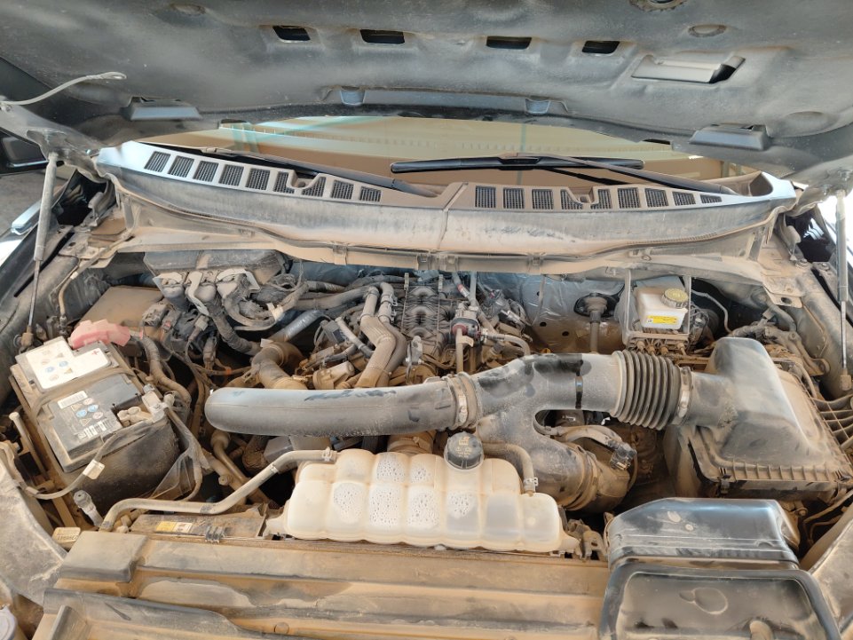 Ford F150 Raptor 4X4 - 2021 image