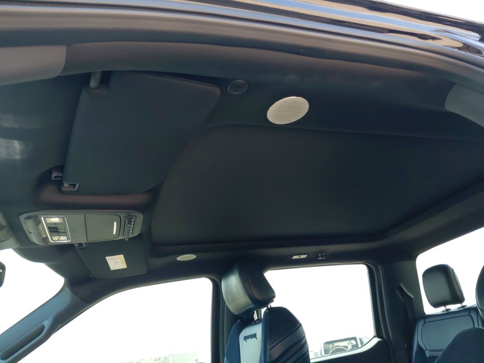 Ford F150 Raptor 4X4 - 2021 image