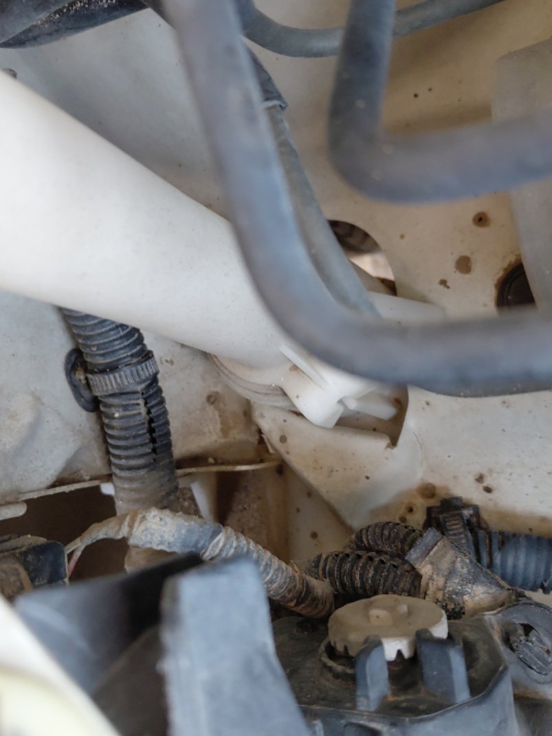 Toyota Corolla  2016 image