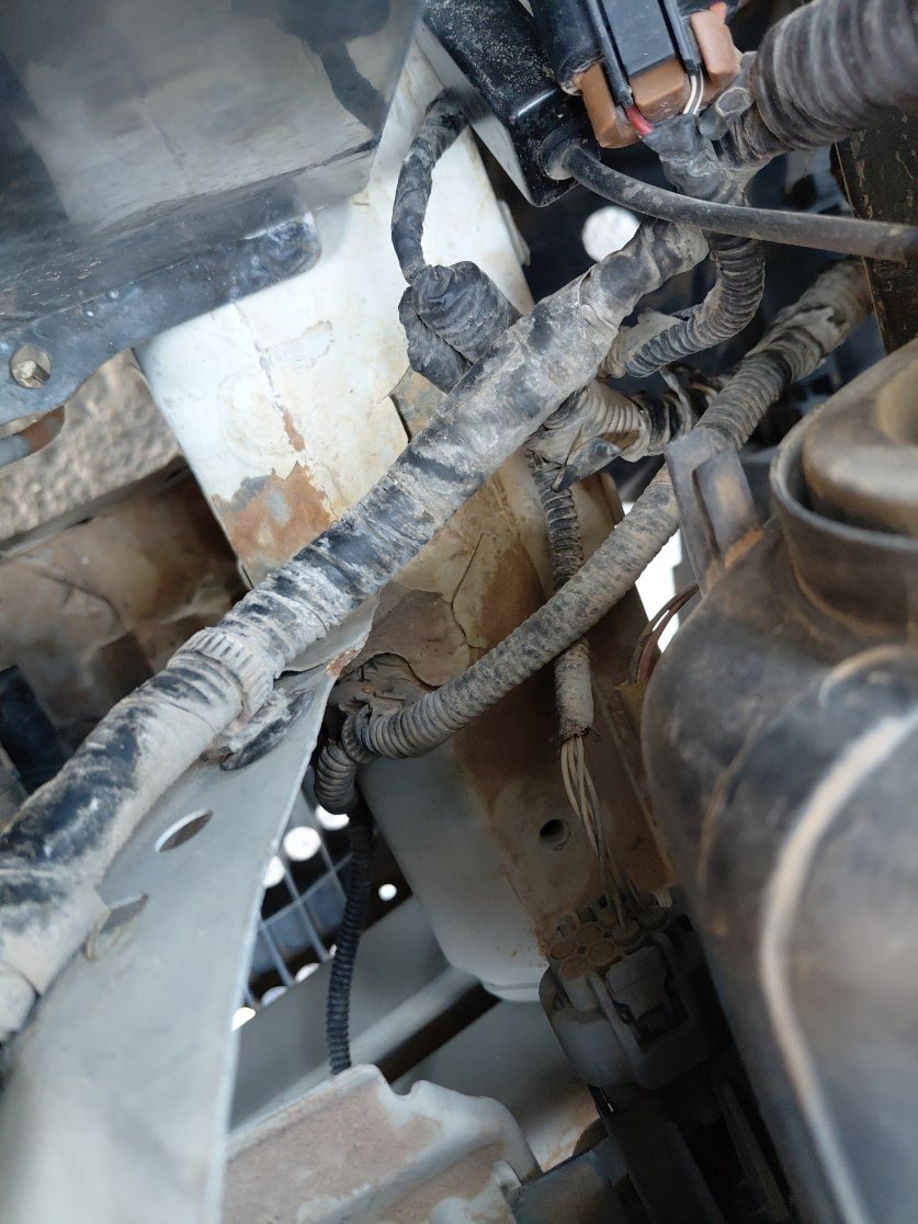 Toyota Corolla  2015 image