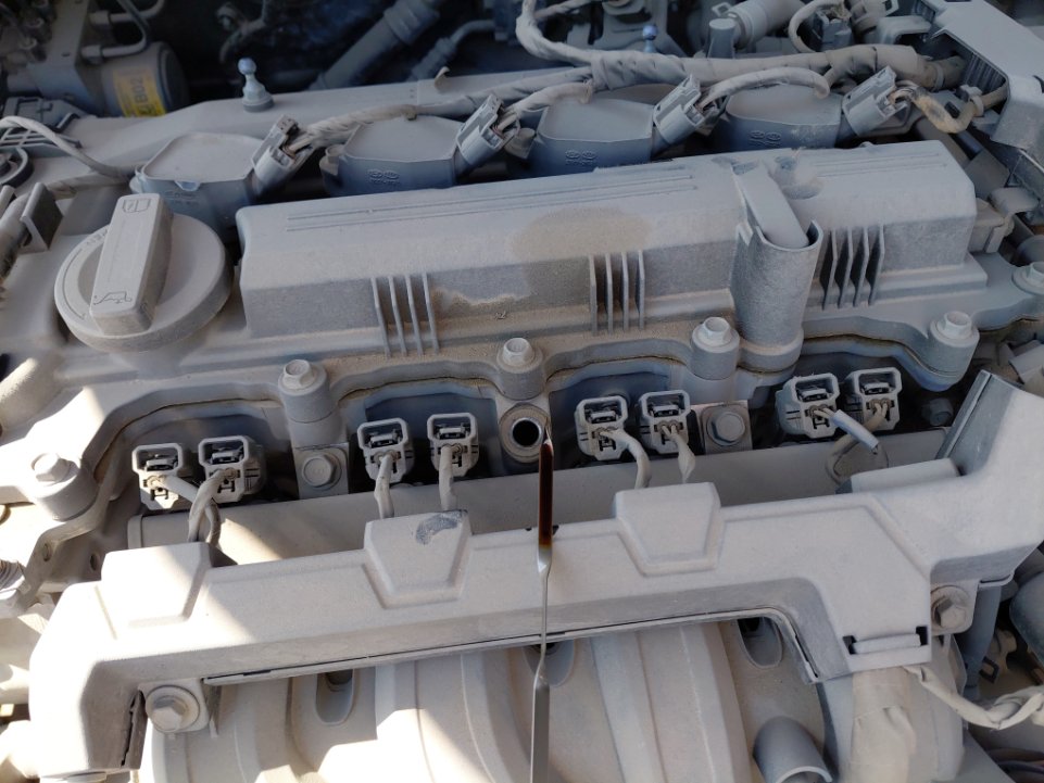 Hyundai Elantra FLEET 2022 image