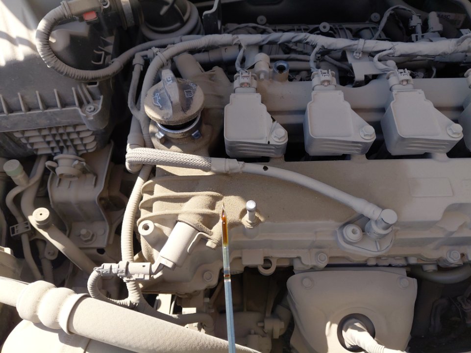 Chevrolet  Spark FLEET 2020 image