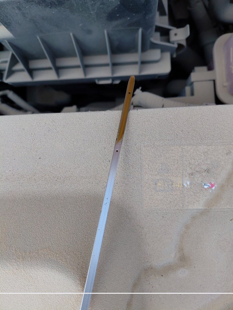 تويوتا سي اتش ار UTILITY 2020 image