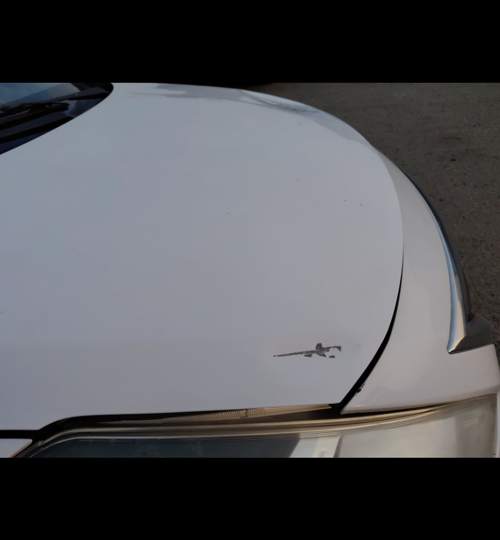 نيسان صني  2022 image