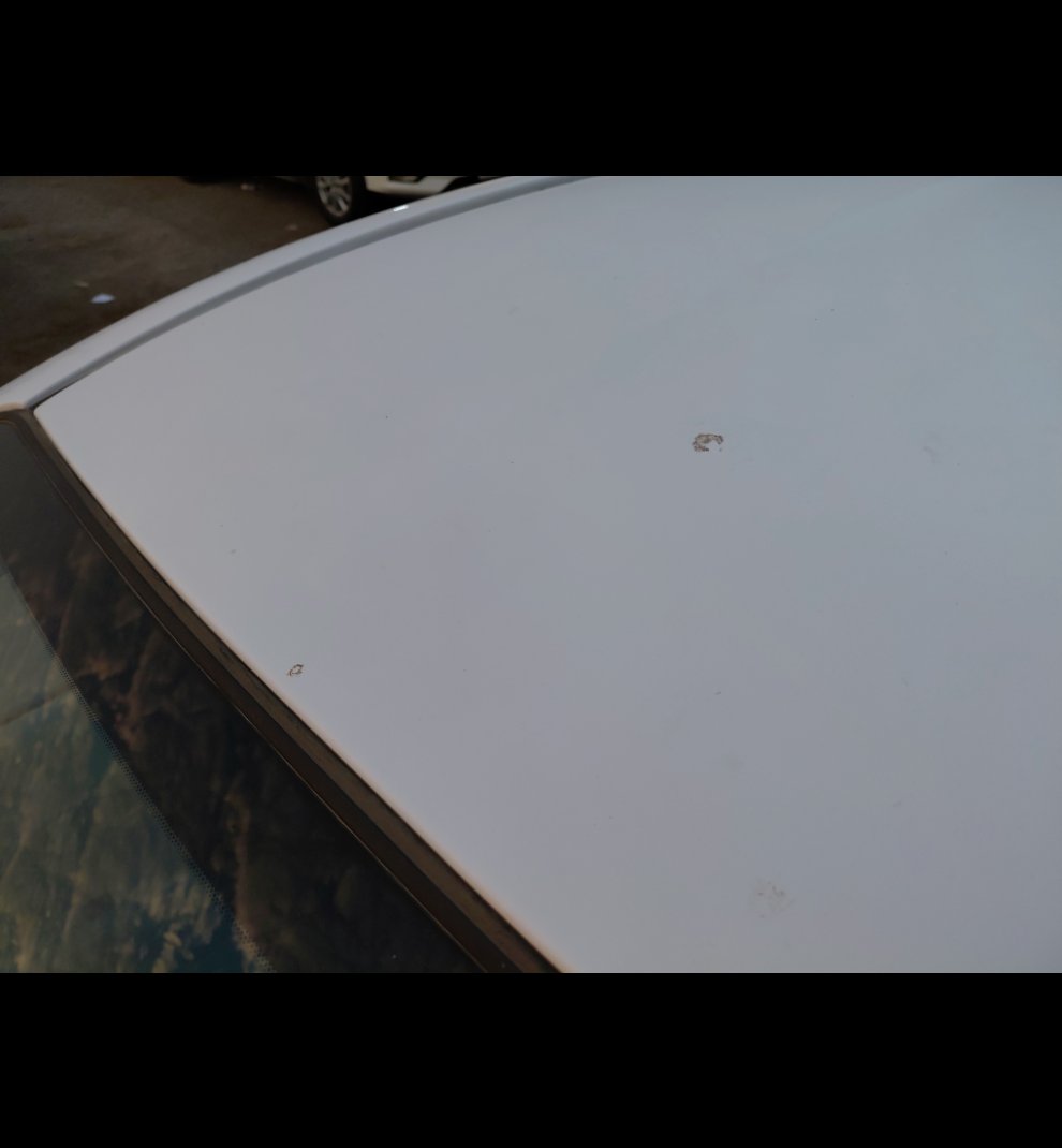 نيسان صني  2022 image