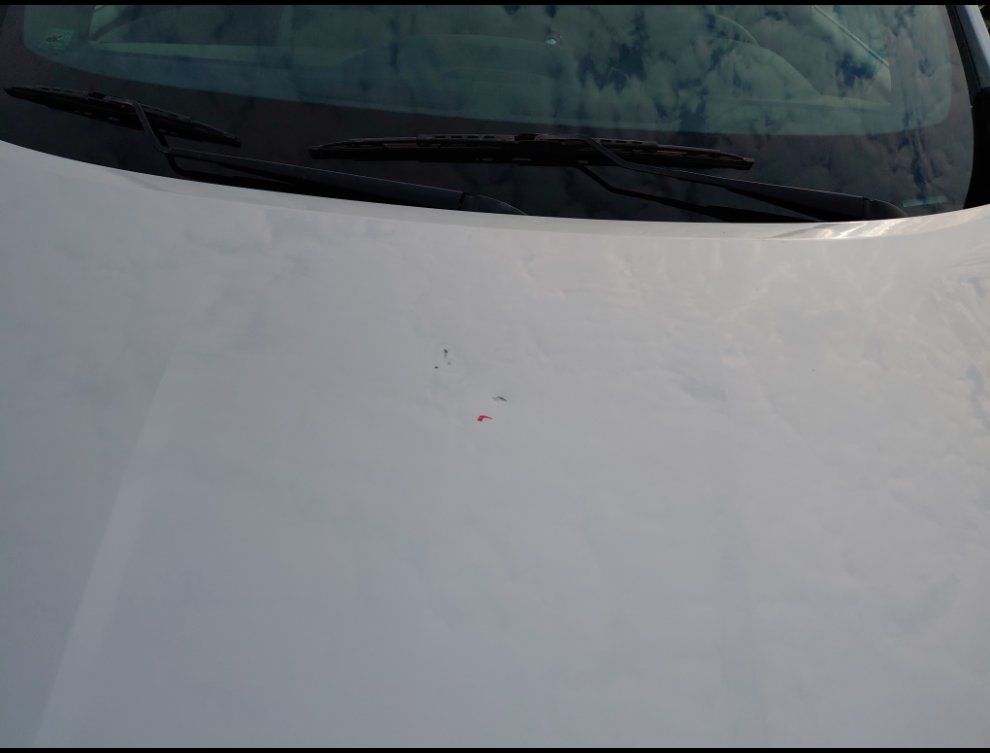 Chevrolet  Traverse  2022 image