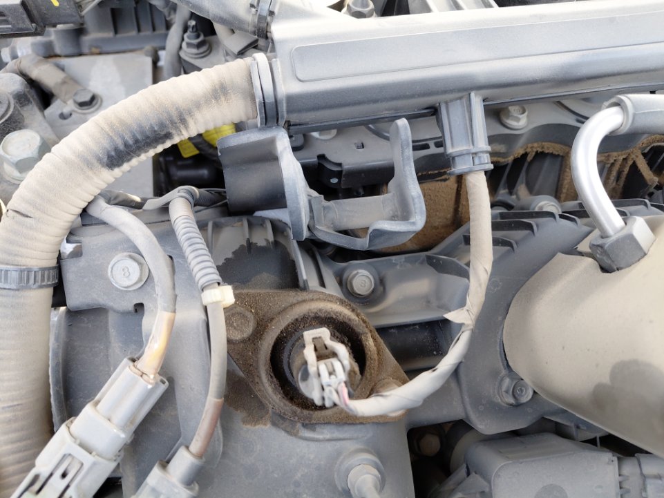 كيا تيلورايد LX AWD 2022 image