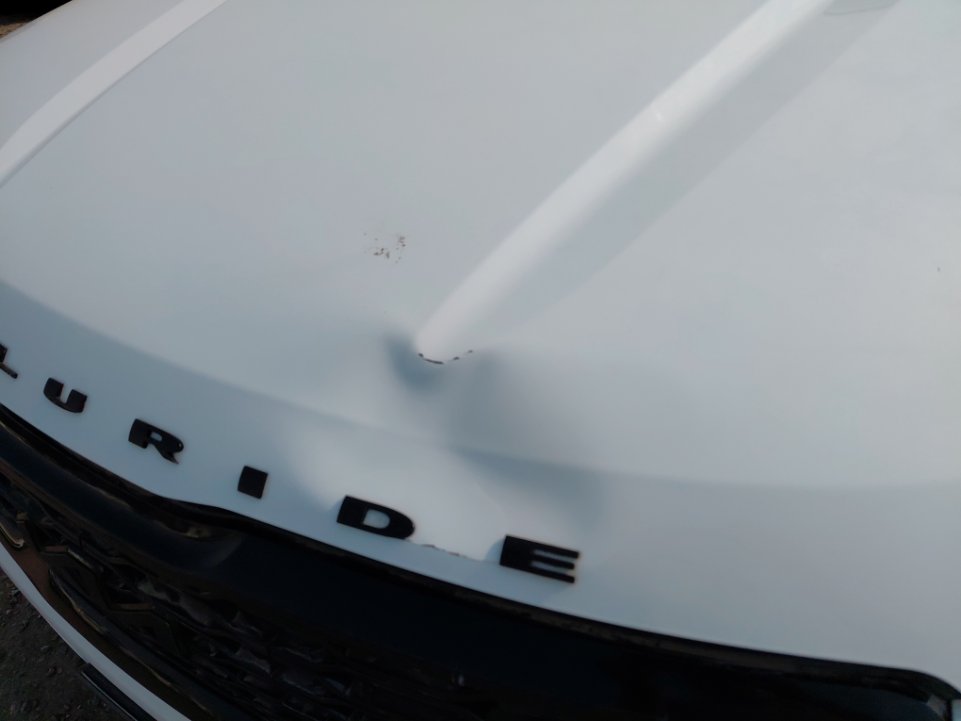 كيا تيلورايد LX AWD 2022 image