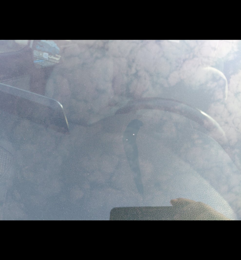 كيا تيلورايد LX AWD 2022 image