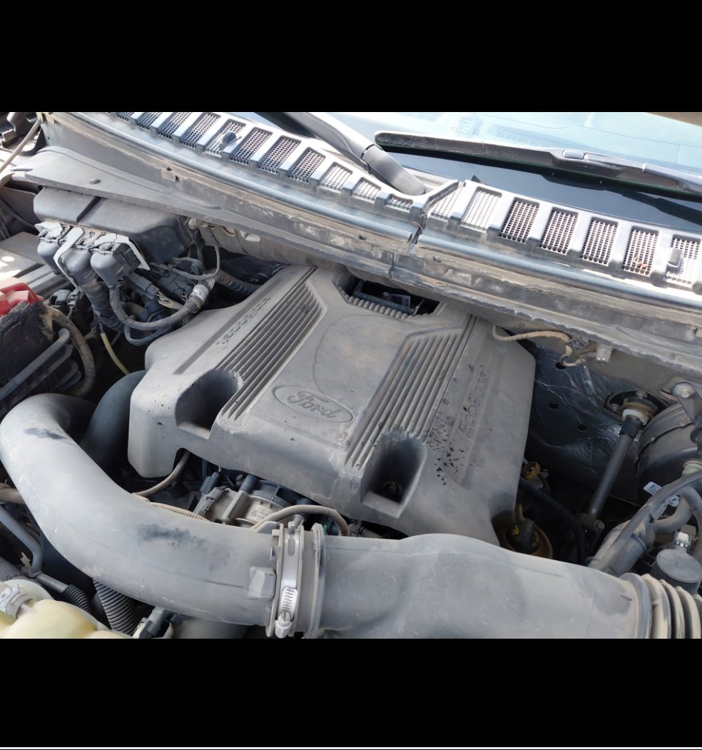 Ford Expedition XLT 2020 image