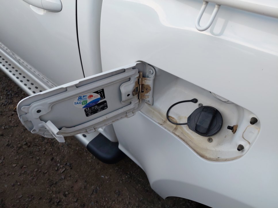 جريت وول وينجل 7  2022 image