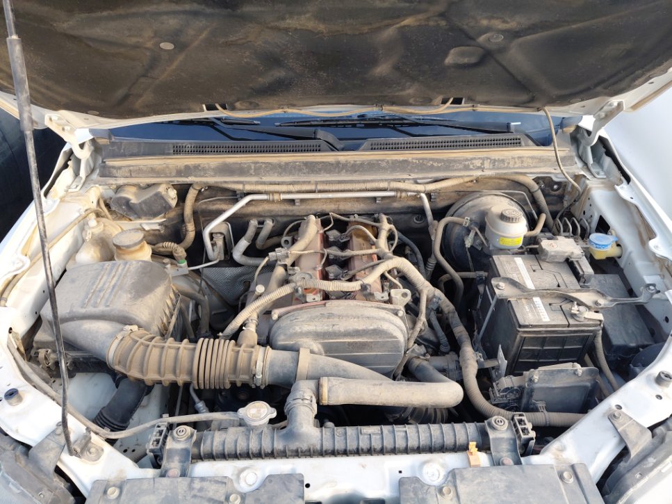 جريت وول وينجل 7  2022 image