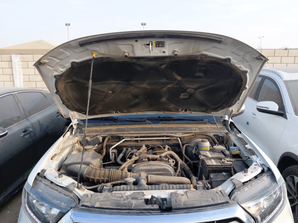 جريت وول وينجل 7  2022 image