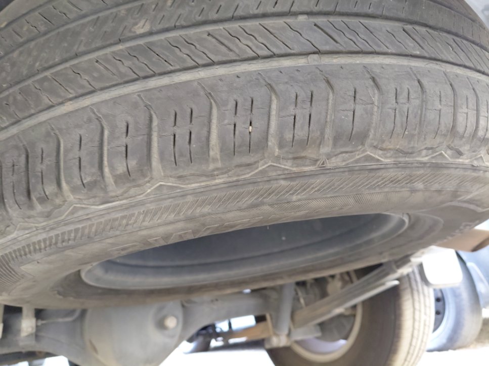 جريت وول وينجل 7  2022 image