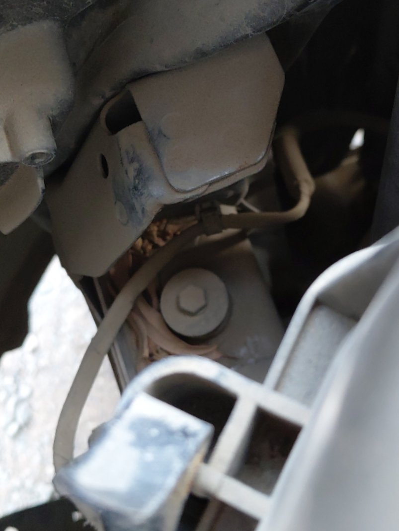 كيا بيجاس  LX FWD 2022 image