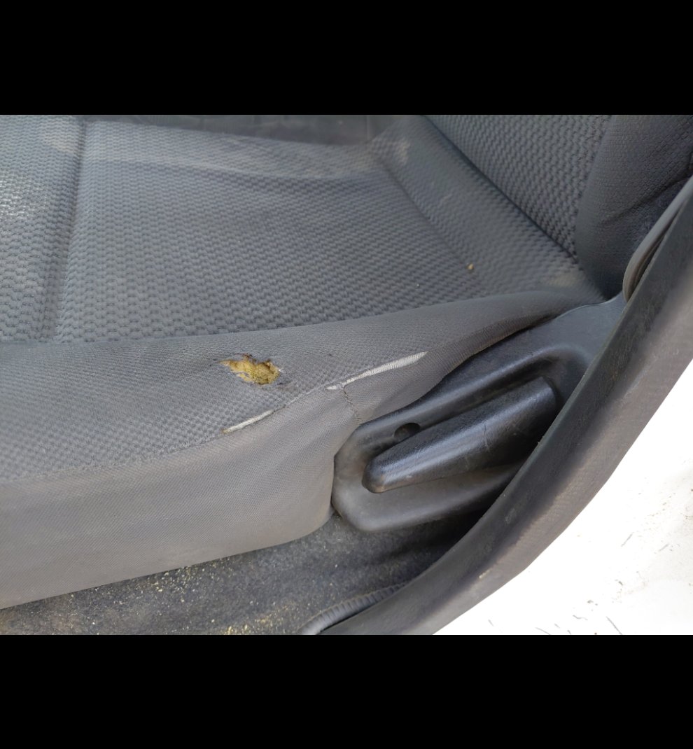 نيسان أورفان  2020 image