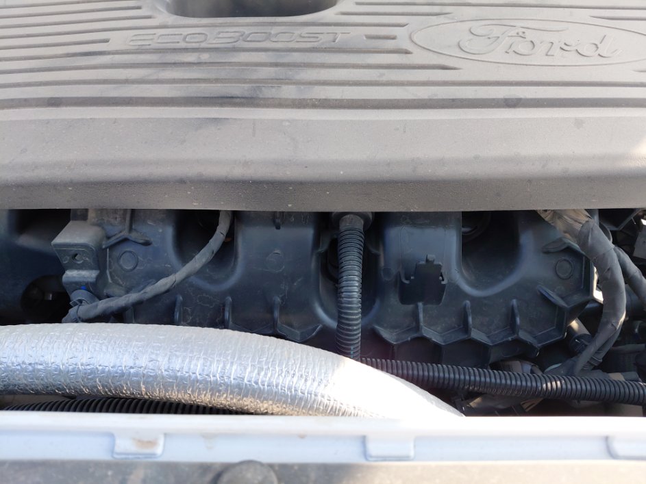 Ford Taurus  2022 image