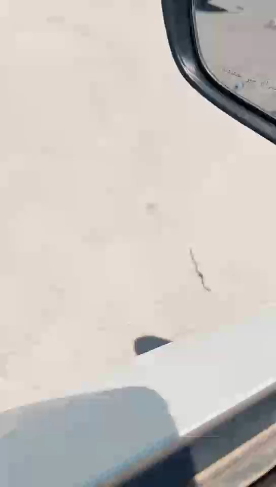 Toyota Corolla XLI 2024 video