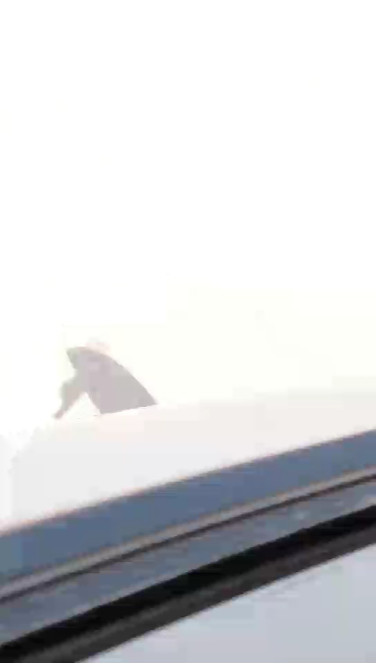 Toyota Corolla XLI EXECUTIVE M/R  2022 video