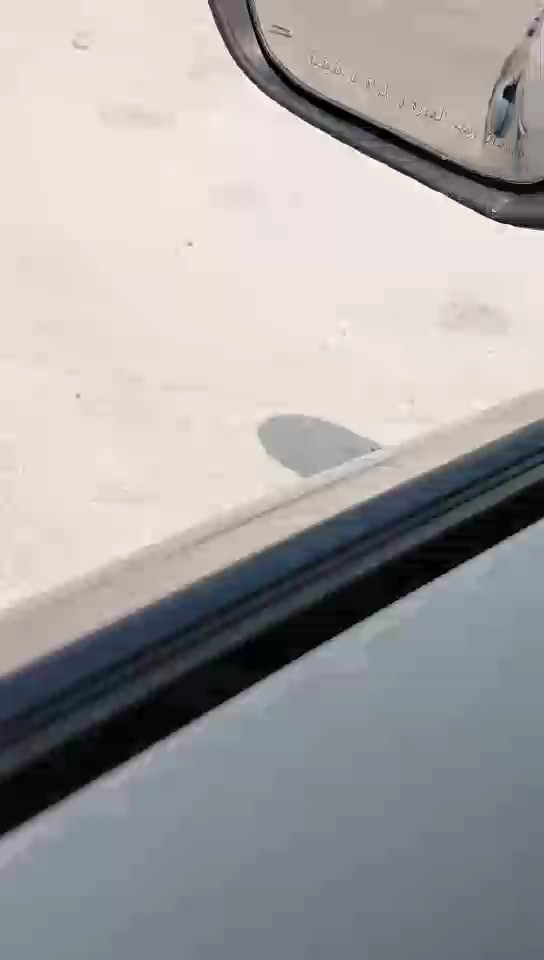 Toyota Corolla XLI EXE 2023 video