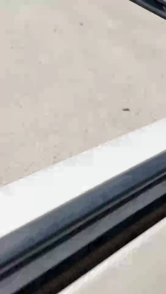 Toyota Corolla XLI 2020 video