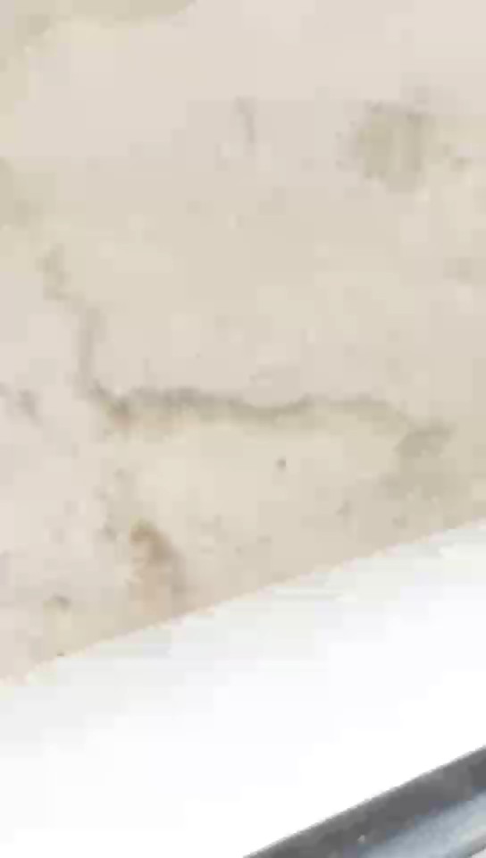 Toyota Yaris Y FLT 2020 video