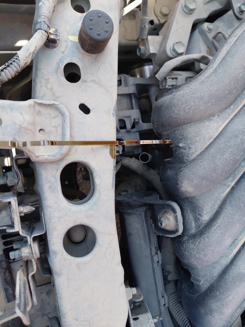 نيسان صني  2022 image