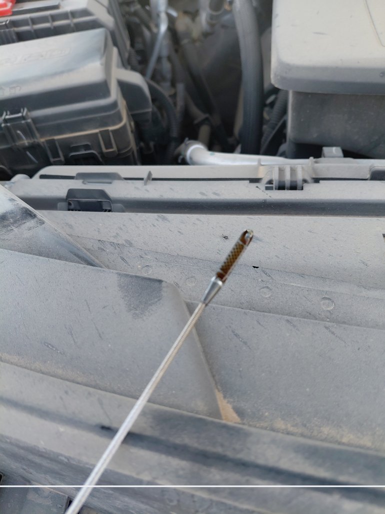 Chevrolet  Tahoe  2022 image