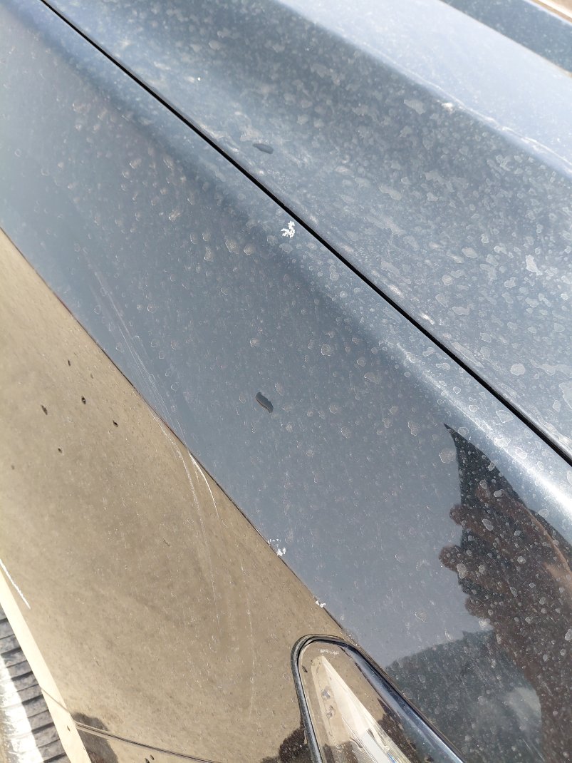 Cadillac Escalade  2021 image