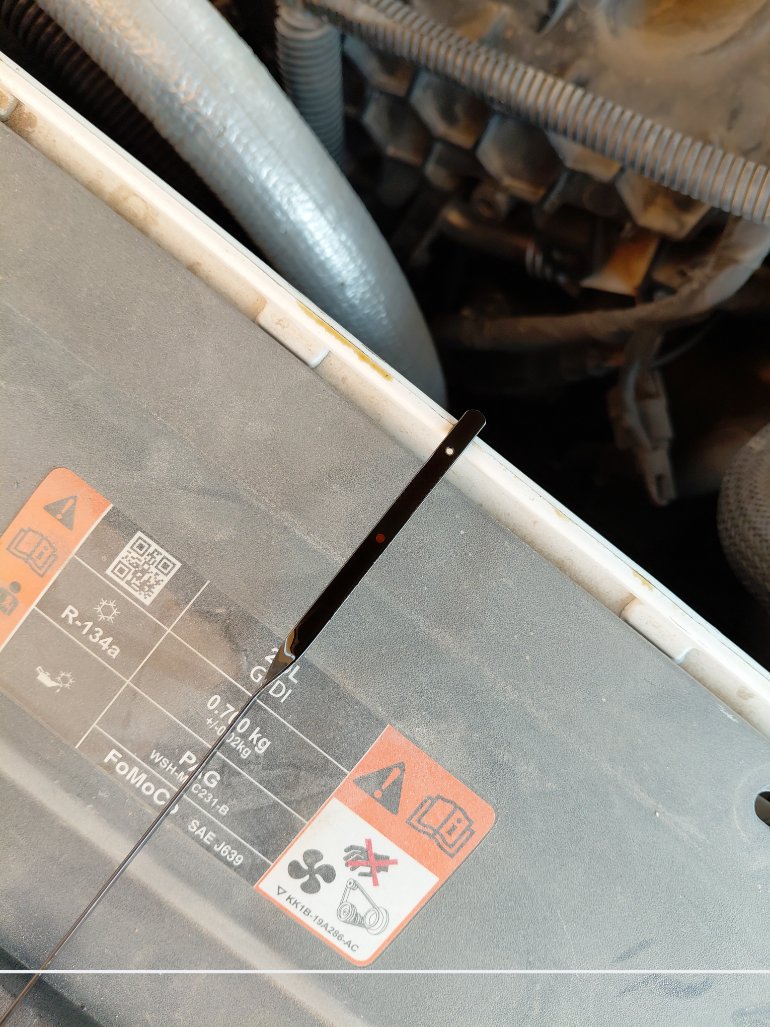 Ford Taurus  2022 image