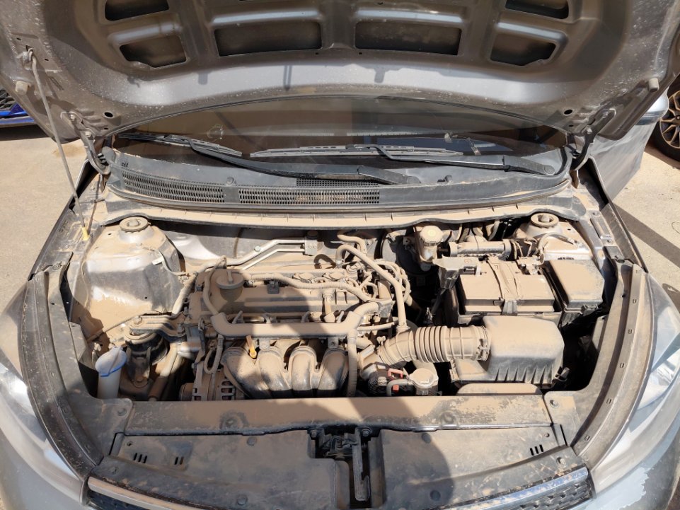 كيا بيجاس FLEET 2022 image