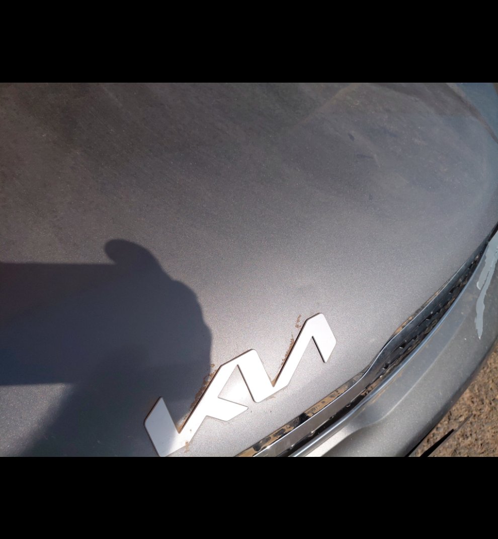 كيا بيجاس FLEET 2022 image