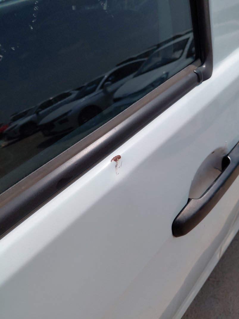 Isuzu D MAX 4X4 - 2024 image