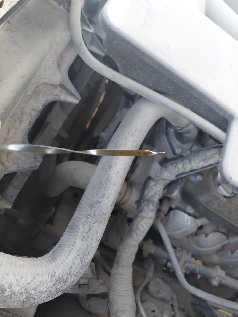 شفروليه تاهو  2019 image