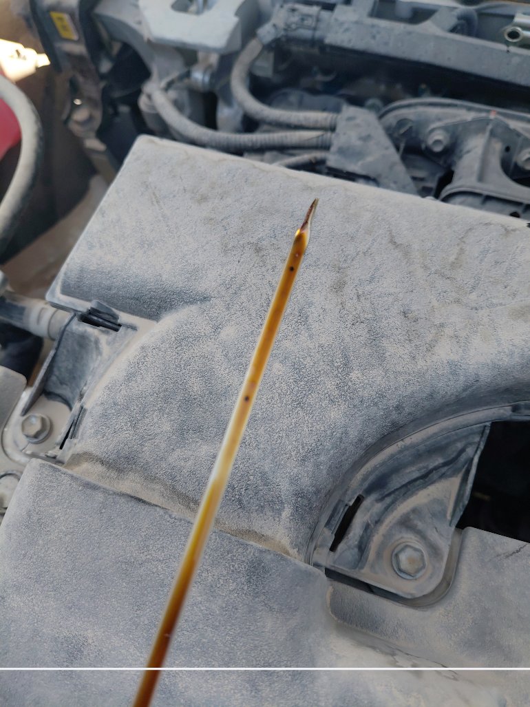 تويوتا راف فور AWD 2022 image